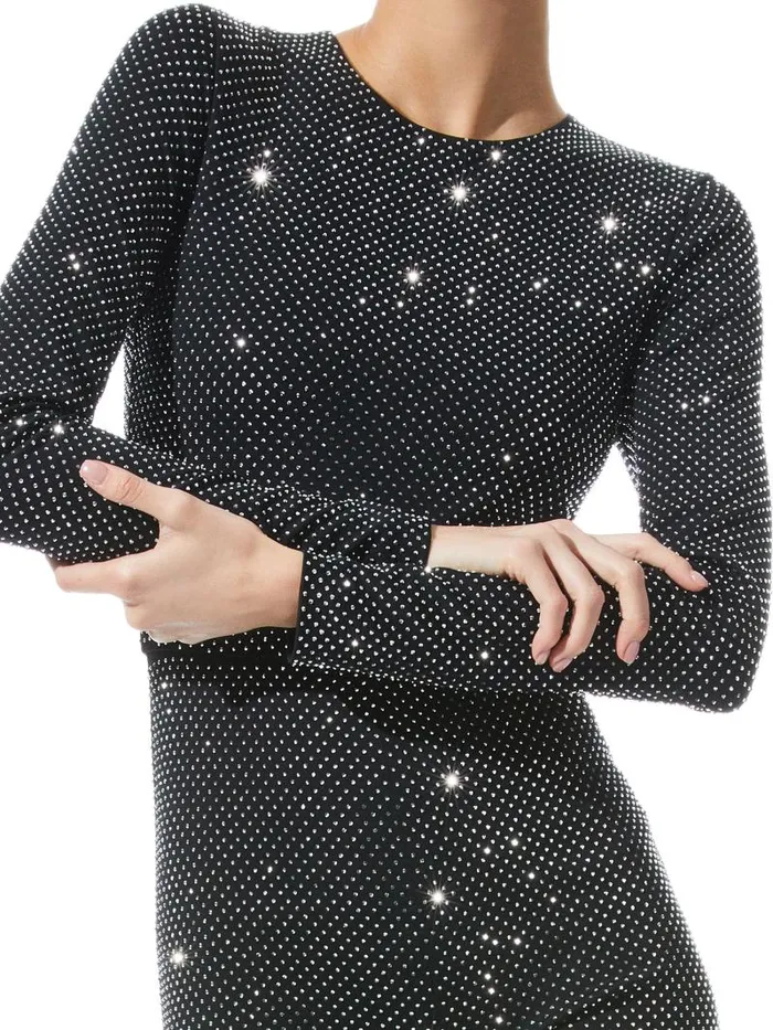 Alice Olivia FREDDIE CREWNECK EMBELLISHED CATSUIT Blacksilver Women Jumpsuits Rompers