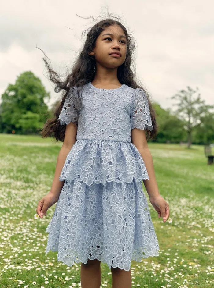 Blue Organza Lace Mini Dress Women Self Portrait Flower Girl Blue Organza Lace Mini Dress Women Self Portrait Flower Girl