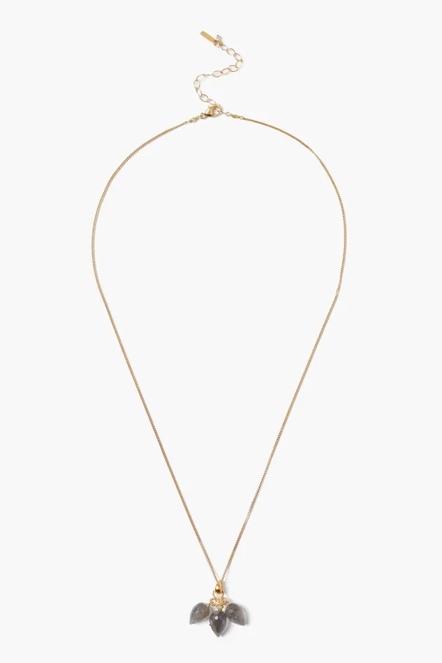 Delphine Necklace Labradorite Women Chan Luu Necklaces