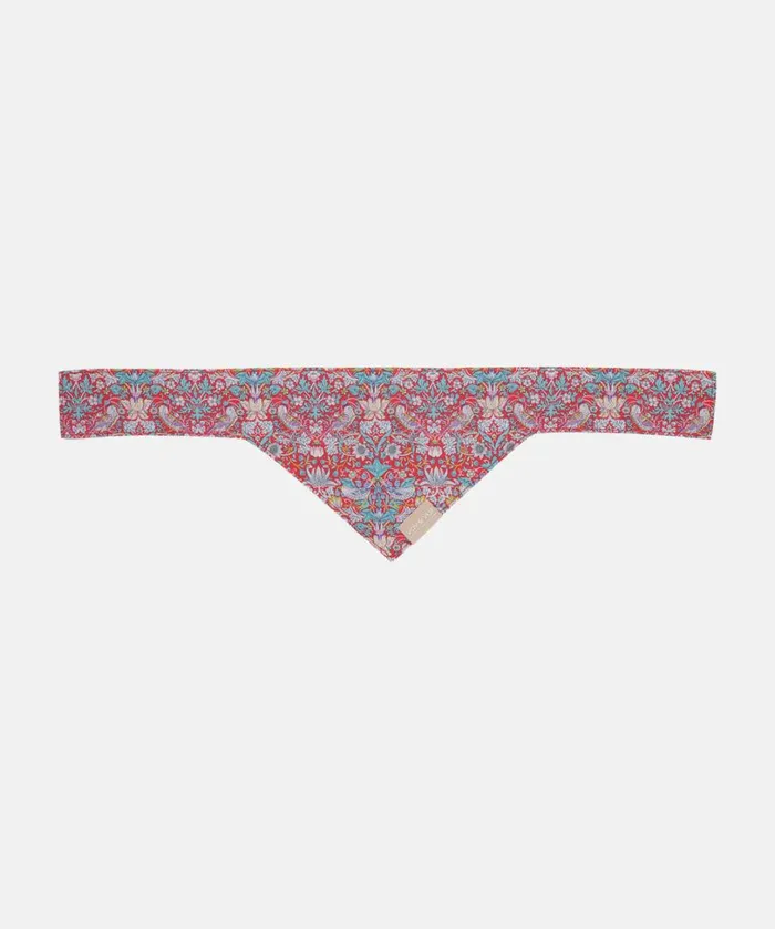 Dog Bandana XSmall 8211 Red Accessories Ilse Jacobsen Vov and Vuf