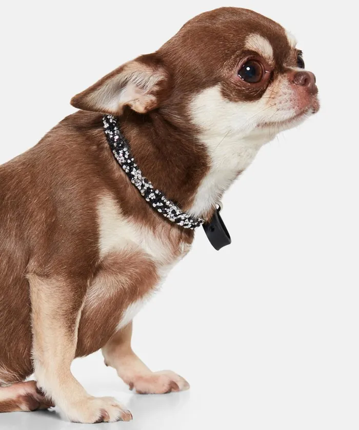 Dog Collar 8211 Black Accessories Ilse Jacobsen Vov and Vuf