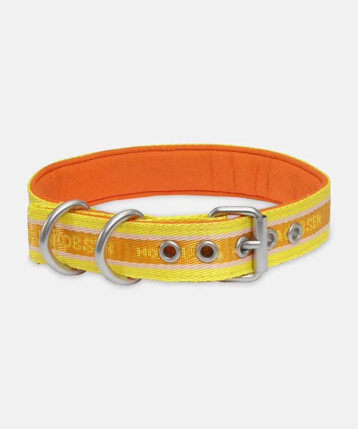 Dog Collar Medium 8211 Sunbeam Accessories Ilse Jacobsen Vov and Vuf Dog Collar Medium 8211 Sunbeam Accessories Ilse Jacobsen Vov and Vuf