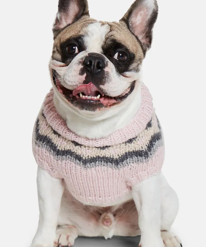 Dog Knit MediumLarge 8211 Wild Rose Accessories Ilse Jacobsen Vov and Vuf