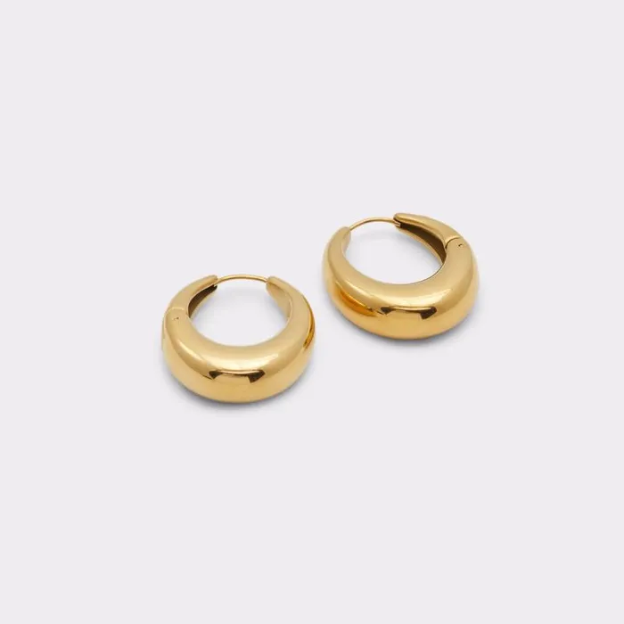 Fine Jewelry Women ALDO Nidal Hoop Earrings