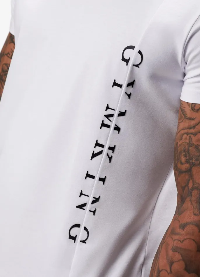 Gym King TShirts Men Split Linear Tee 8211 White