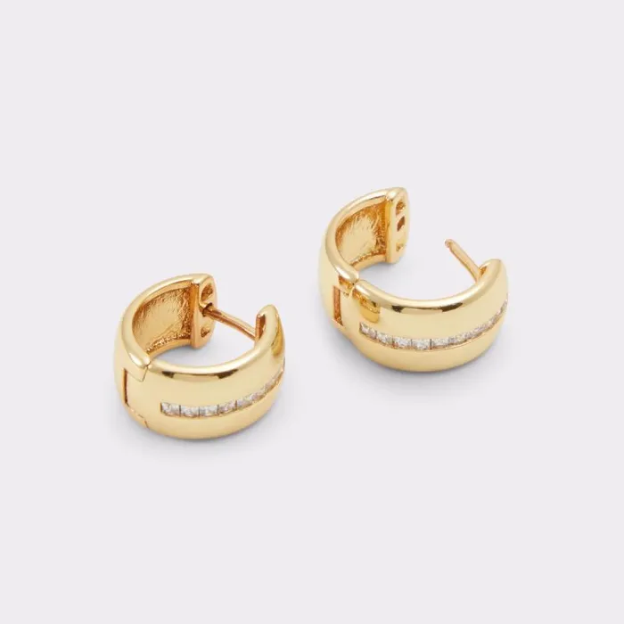 Jewelry Women ALDO Gannabrissi Hoop Earrings