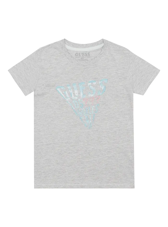 Kids Little Boy GUESS Grey Blue Logo Tshirt 27