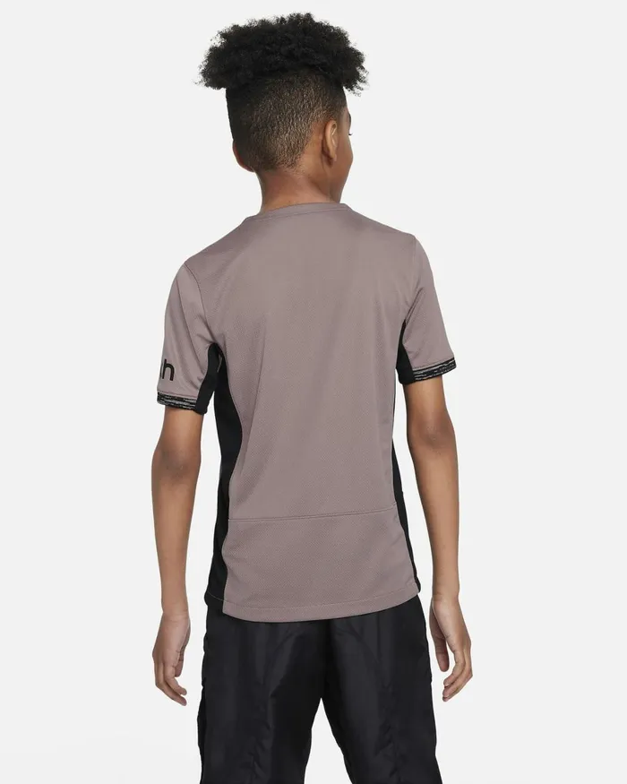 Kids Nike All Clothing Tottenham Hotspur 202324 Stadium Third Taupe Hazediffused Taupeblack