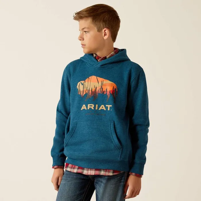 Kids Sweatshirts and Hoodies Ariat Bison Plains Hoodie Hydra Heather