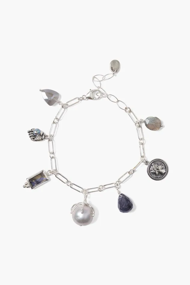 Lark Charm Bracelet Silver Mix Women Chan Luu Bracelets