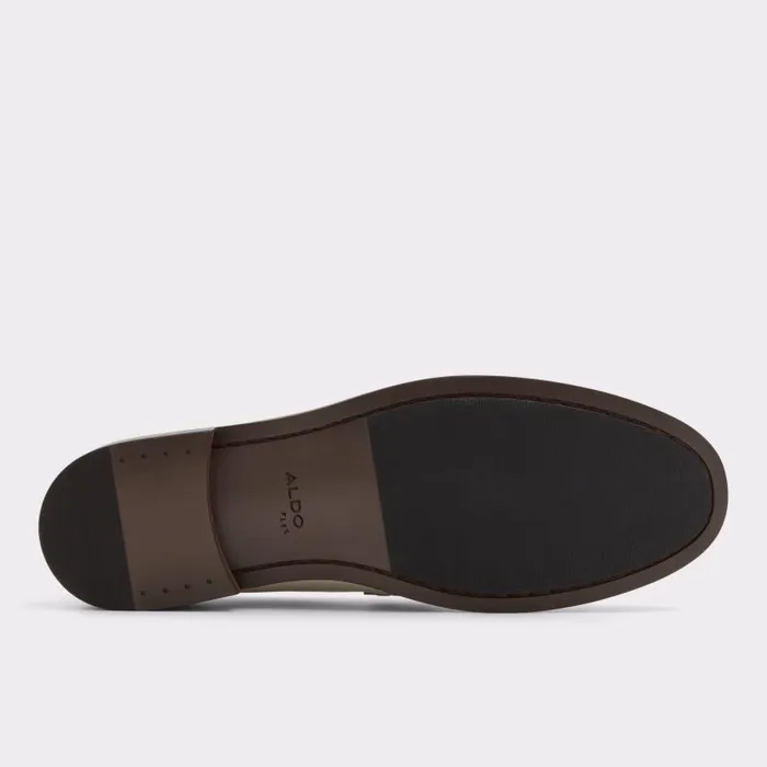 Loafers and SlipOns Men ALDO Idris Loafer