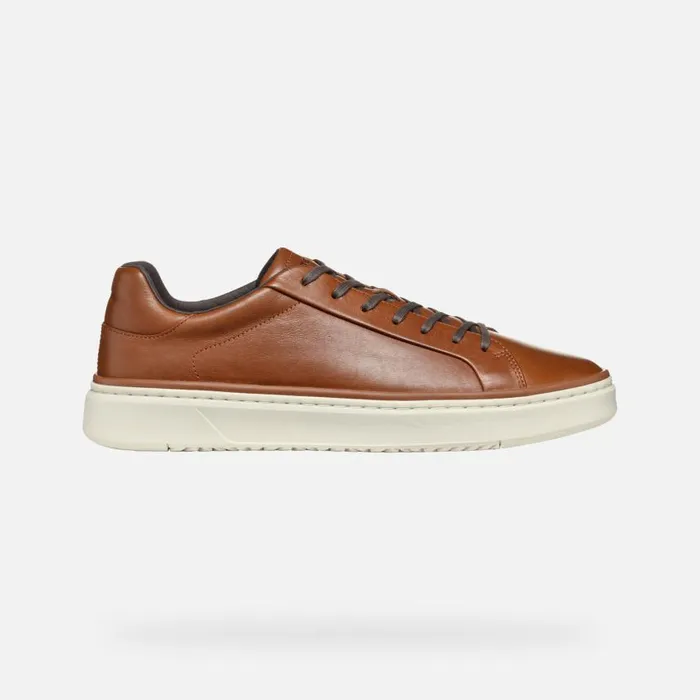 Man Geox Sneakers ZACKERTY MAN Light Brown Low Top Sneakers Light Brown