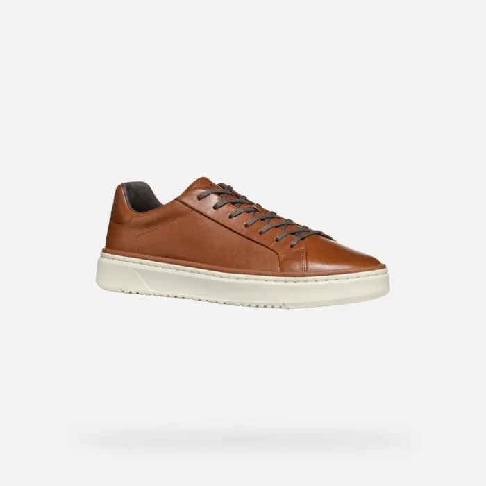 Man Geox Sneakers ZACKERTY MAN Light Brown Low Top Sneakers Light Brown