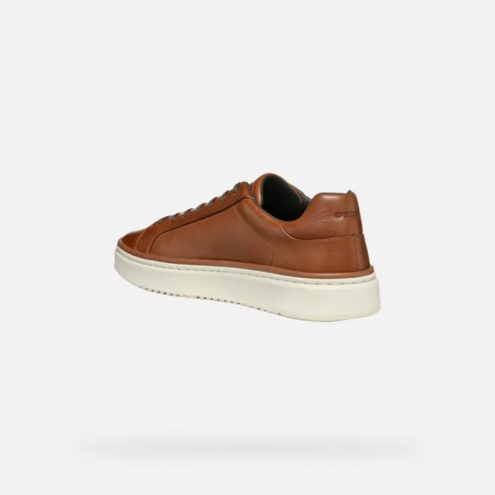 Man Geox Sneakers ZACKERTY MAN Light Brown Low Top Sneakers Light Brown