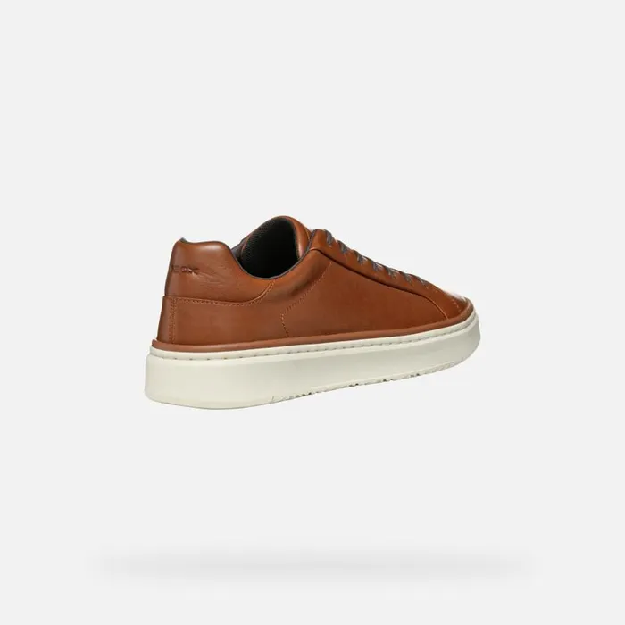 Man Geox Sneakers ZACKERTY MAN Light Brown Low Top Sneakers Light Brown