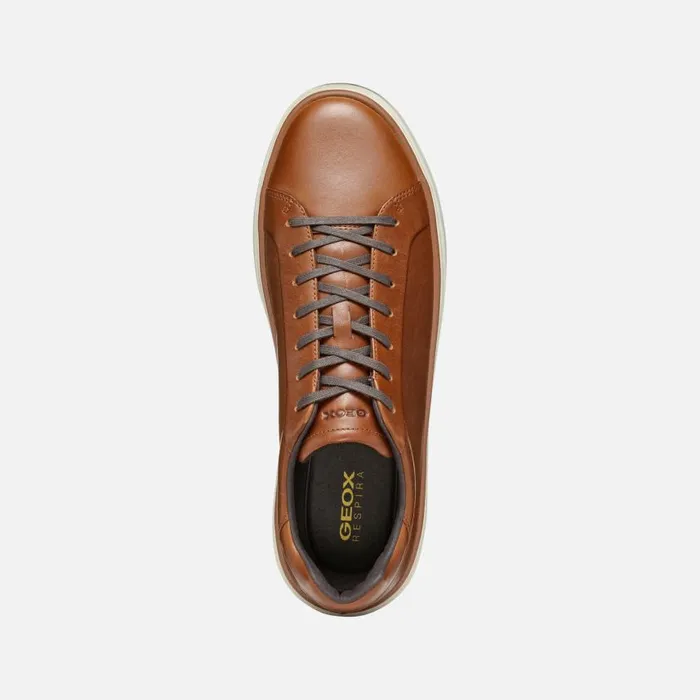 Man Geox Sneakers ZACKERTY MAN Light Brown Low Top Sneakers Light Brown