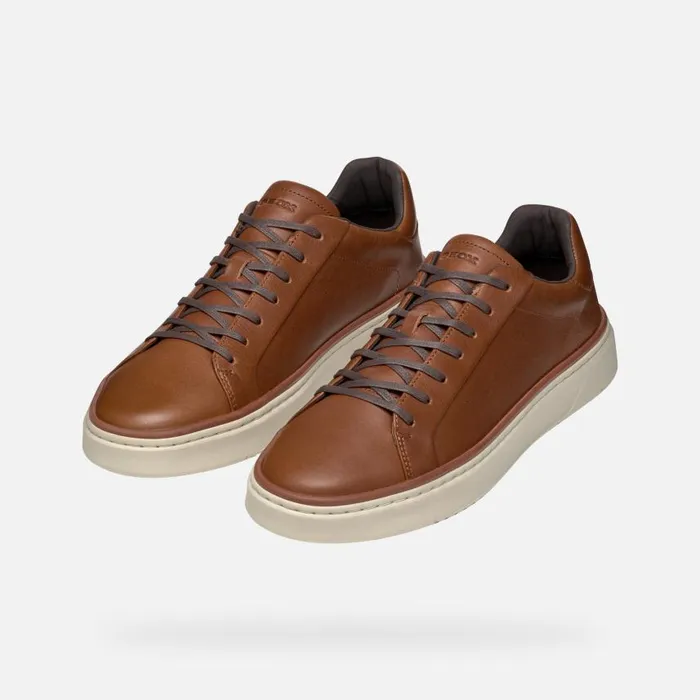 Man Geox Sneakers ZACKERTY MAN Light Brown Low Top Sneakers Light Brown