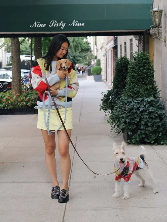 Pet Women Dog Sweater Cirque Argyle Lisa Says Gah