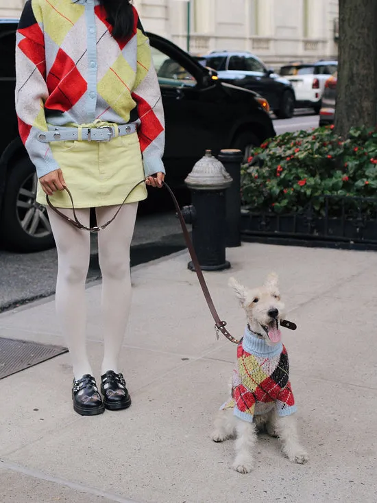 Pet Women Dog Sweater Cirque Argyle Lisa Says Gah