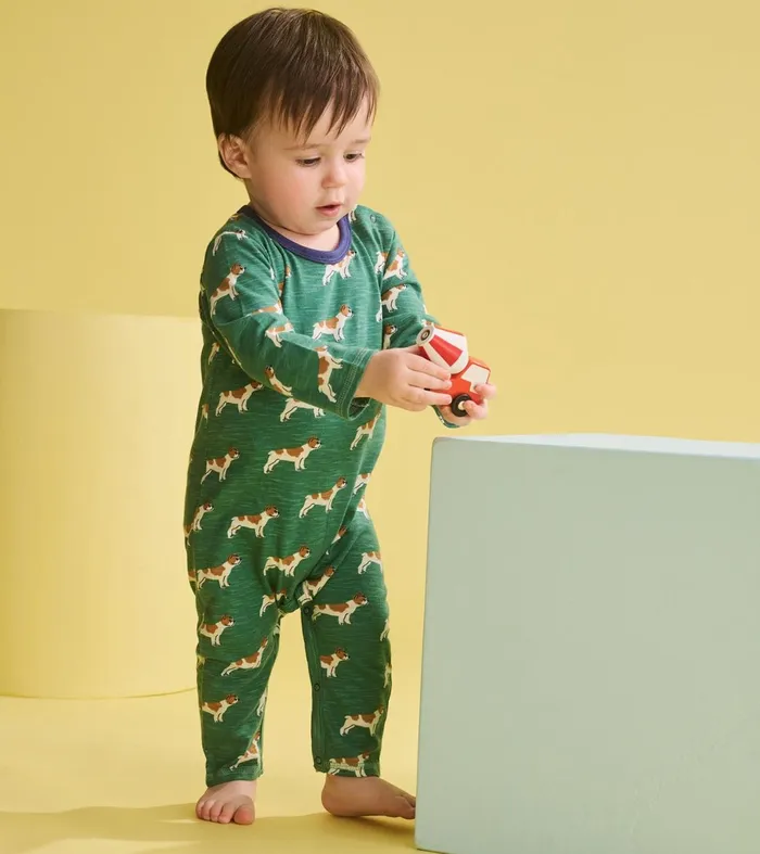 Rompers Baby and Toddler Hatley Baby Boys French Bulldogs Long Sleeve Romper