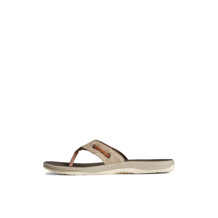 Sperry SeaCycled Baitfish Baja Flip Flop Medium Beige Men Sandals