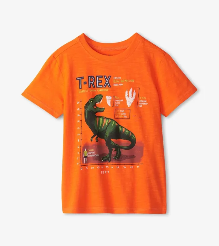Tops Boys Hatley Boys TRex Graphic Tee