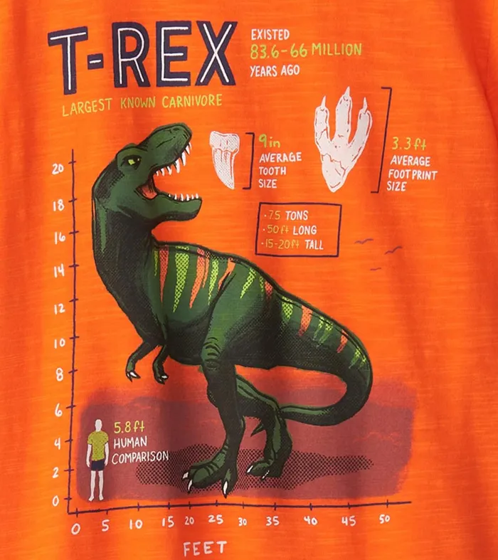 Tops Boys Hatley Boys TRex Graphic Tee