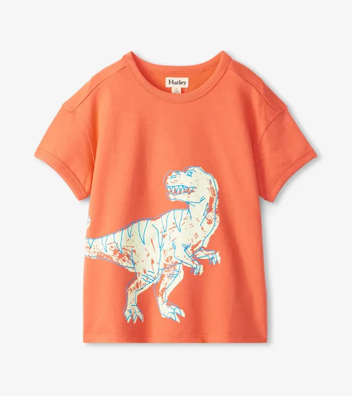 Tops Girls Hatley Boys Dino Glow Graphic Tee