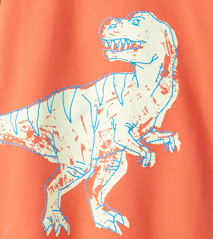 Tops Girls Hatley Boys Dino Glow Graphic Tee