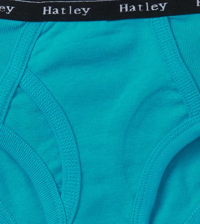 Underwear Boys Hatley Boys Solid 3 Pack Classic Briefs