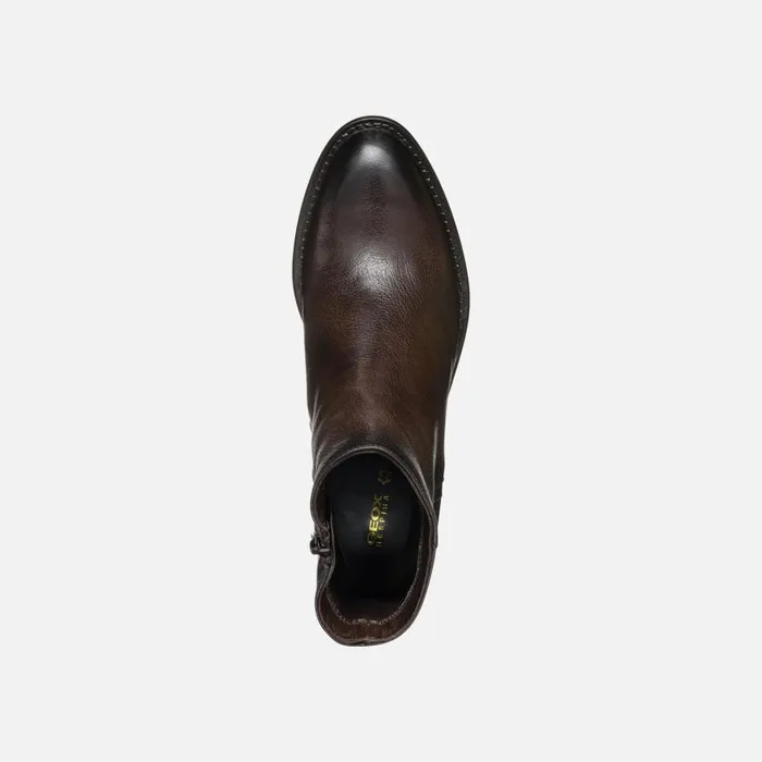 Woman Geox Ankle Boots FARNIA WOMAN Coffee