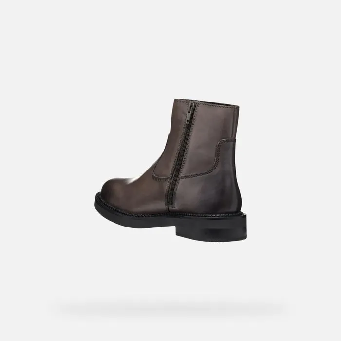 Woman Geox Ankle Boots SERILDA WOMAN Taupe Low Heel Ankle Boots Taupe
