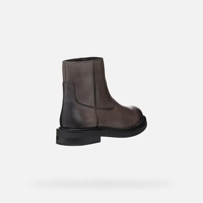 Woman Geox Ankle Boots SERILDA WOMAN Taupe Low Heel Ankle Boots Taupe