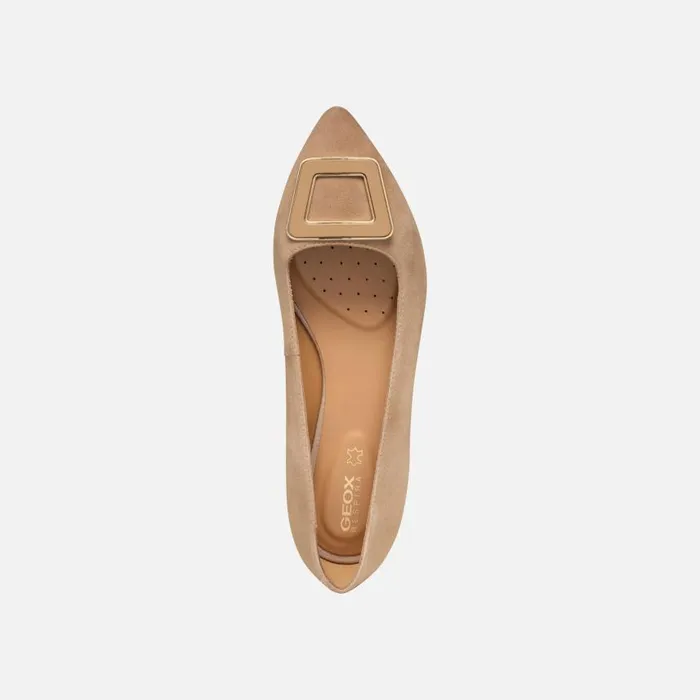 Woman Geox Ballerinas CHARYSSA WOMAN Mud Suede Ballerina Pumps Mud