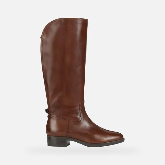 Woman Geox Boots FELICITY A High Boots Brown Woman Geox Brown