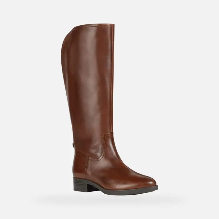 Woman Geox Boots FELICITY A High Boots Brown Woman Geox Brown