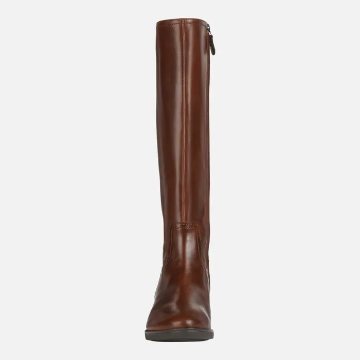 Woman Geox Boots FELICITY A High Boots Brown Woman Geox Brown