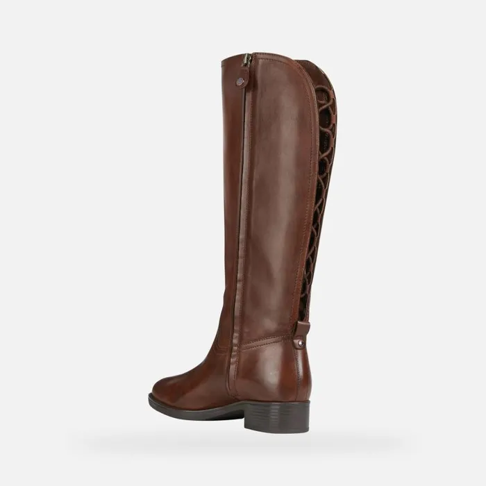 Woman Geox Boots FELICITY A High Boots Brown Woman Geox Brown