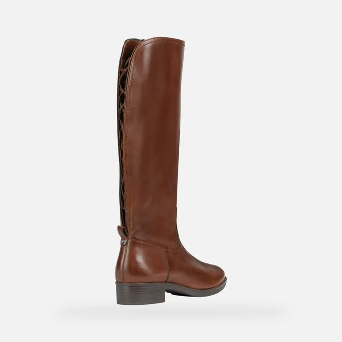 Woman Geox Boots FELICITY A High Boots Brown Woman Geox Brown
