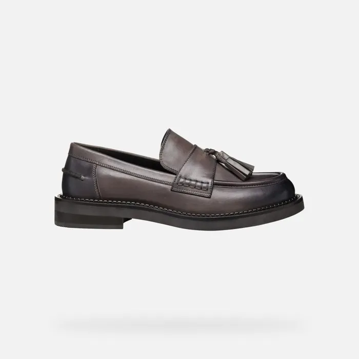 Woman Geox Loafers SERILDA WOMAN Taupe Leather Loafers Taupe