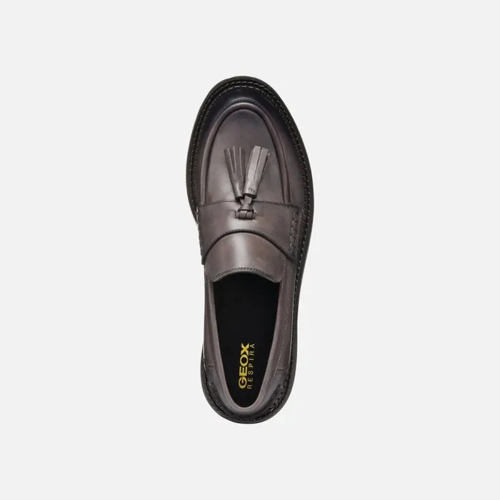 Woman Geox Loafers SERILDA WOMAN Taupe Leather Loafers Taupe