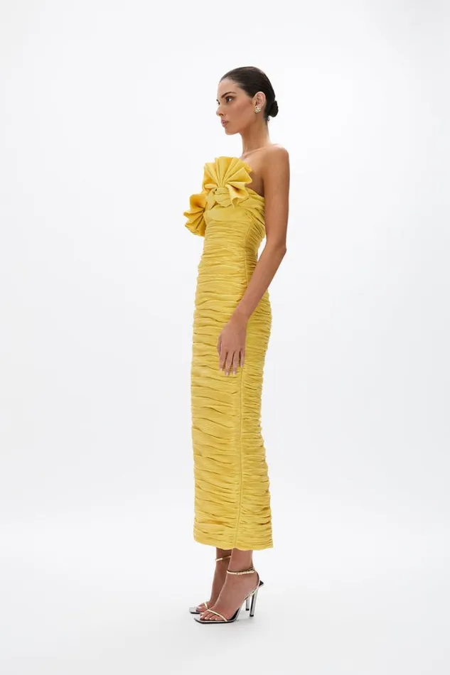 Women Midi Dresses Rachel Gilbert Jensen Dress Primrose