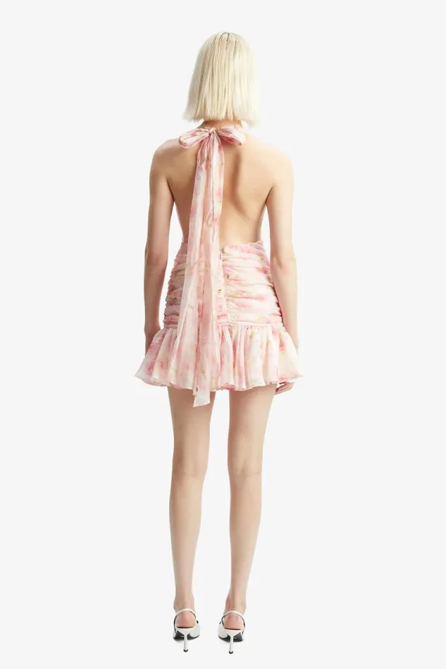 Women Party Dresses Bardot Mave Halter Neck Mini Dress In Pink Flora Pink Flora Women Party Dresses Bardot Mave Halter Neck Mini Dress In Pink Flora Pink Flora