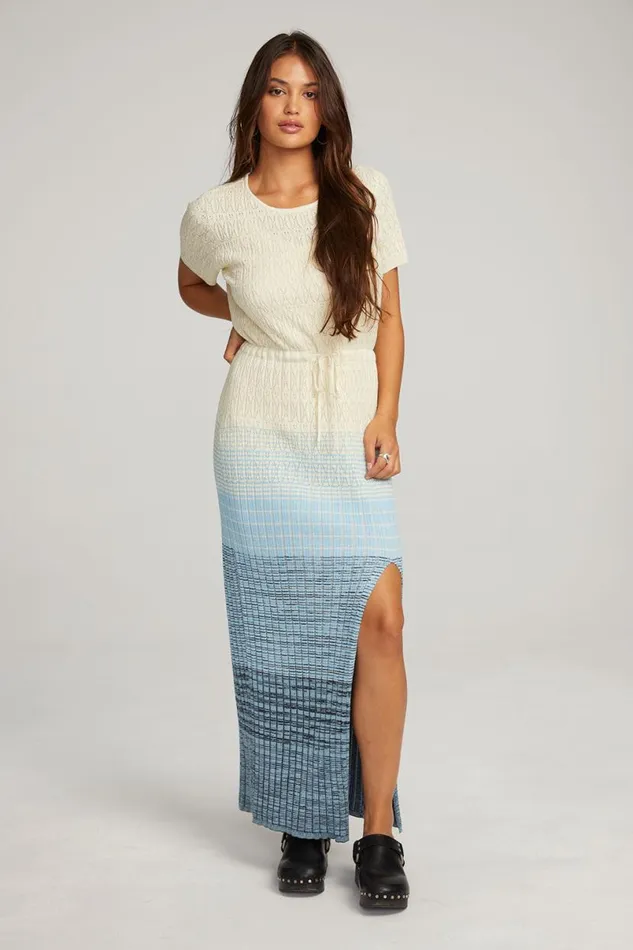 Womens Dresses Chaser Brand Durango Nightflower Maxi Dress