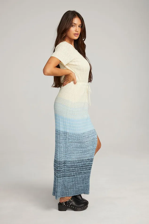 Womens Dresses Chaser Brand Durango Nightflower Maxi Dress